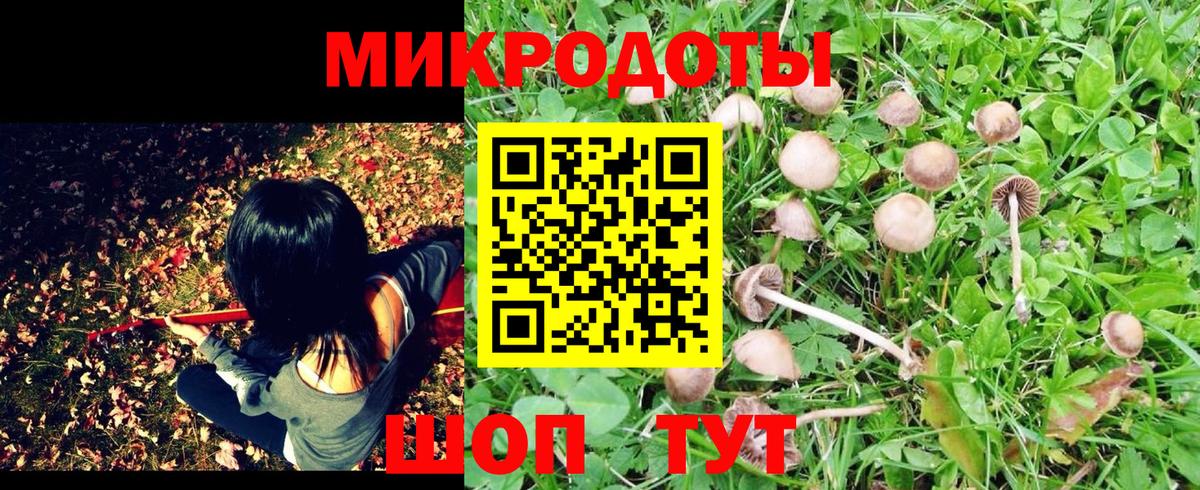 Галлюциногенные грибы Psilocybe  Псилоцибиновые грибы Psilocybe  Вход с VPN  Йошкар-Ола 